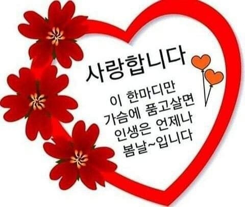 내게온 봄 이미지