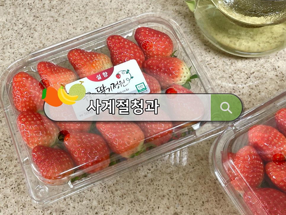 사계절청과 이미지