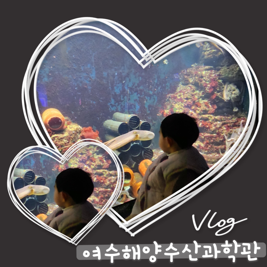 여수39수산 이미지