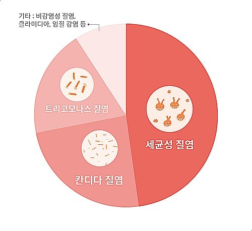 파티마산부인과 이미지