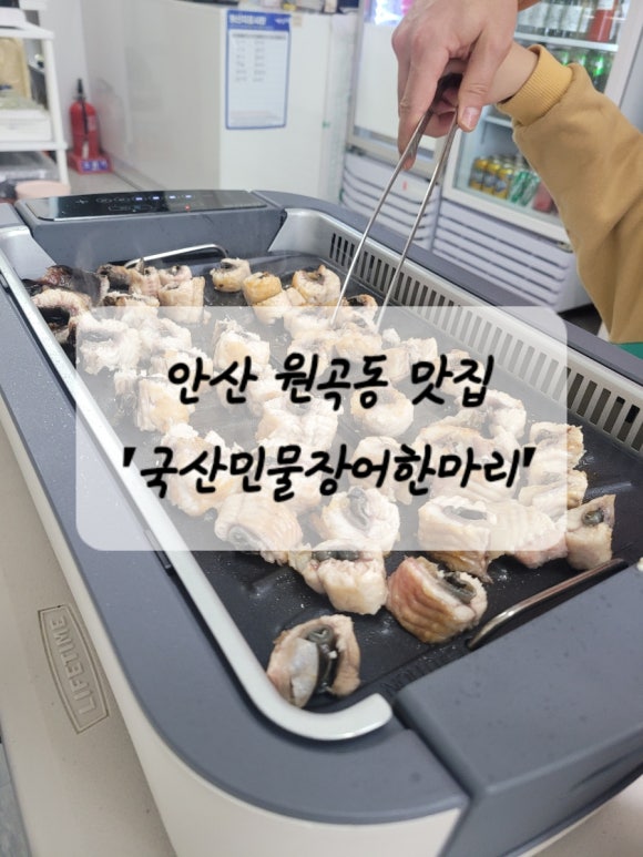 국산장어한마리 이미지