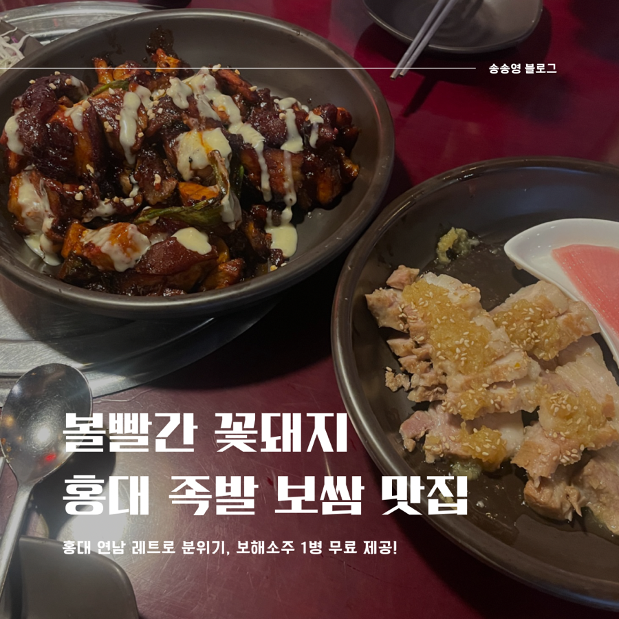 마포꽃돼지 이미지