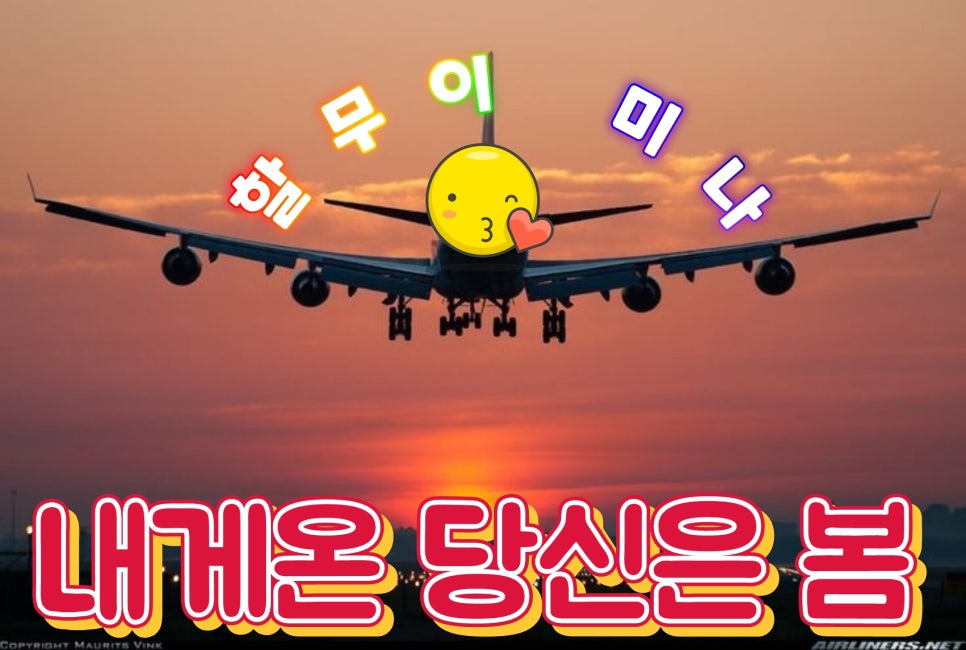 내게온 봄 이미지