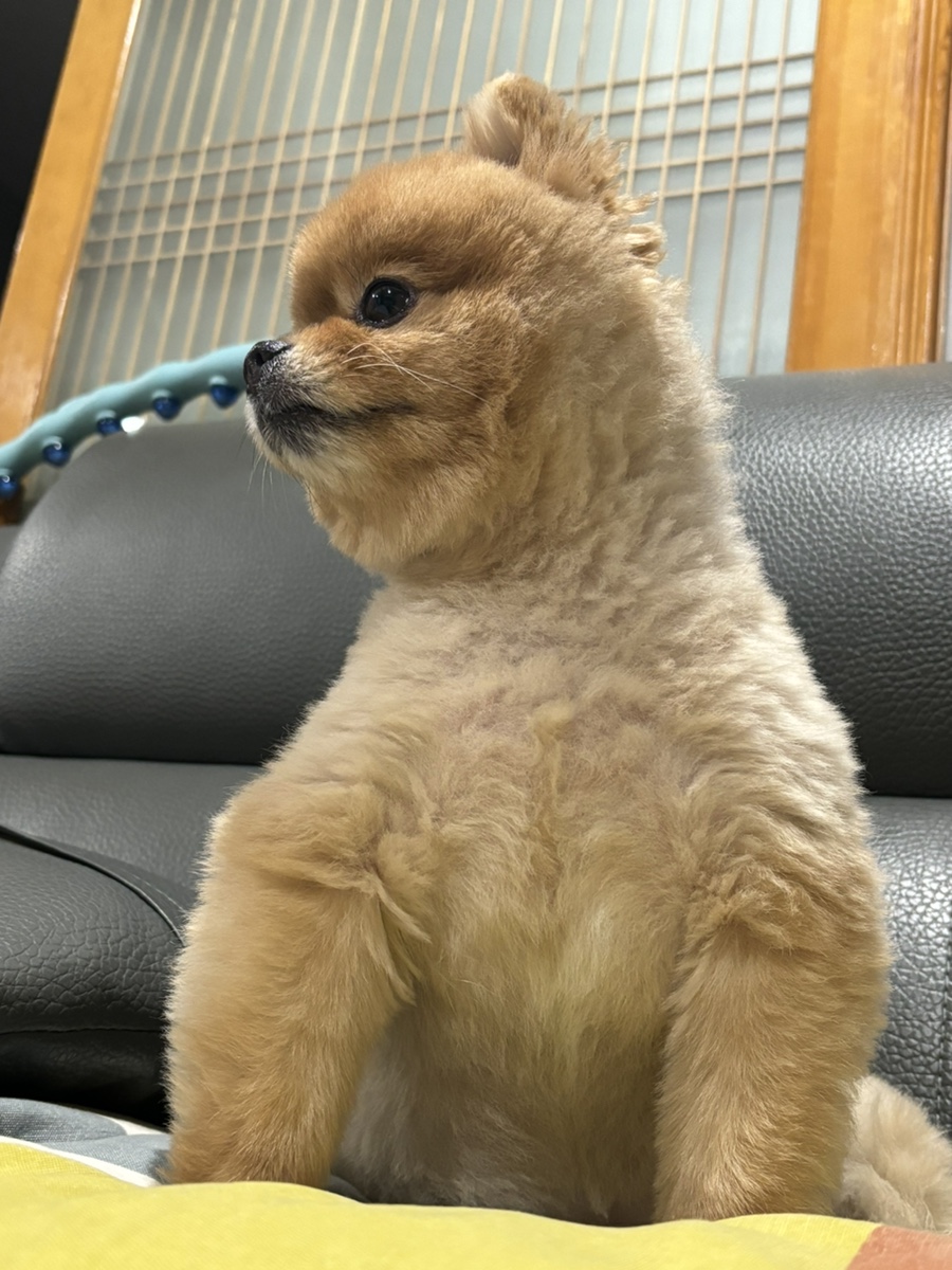 윤민박 이미지