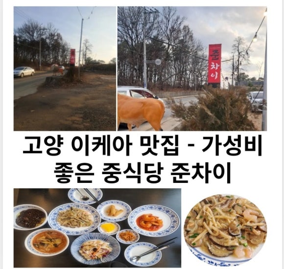 준차이 이미지