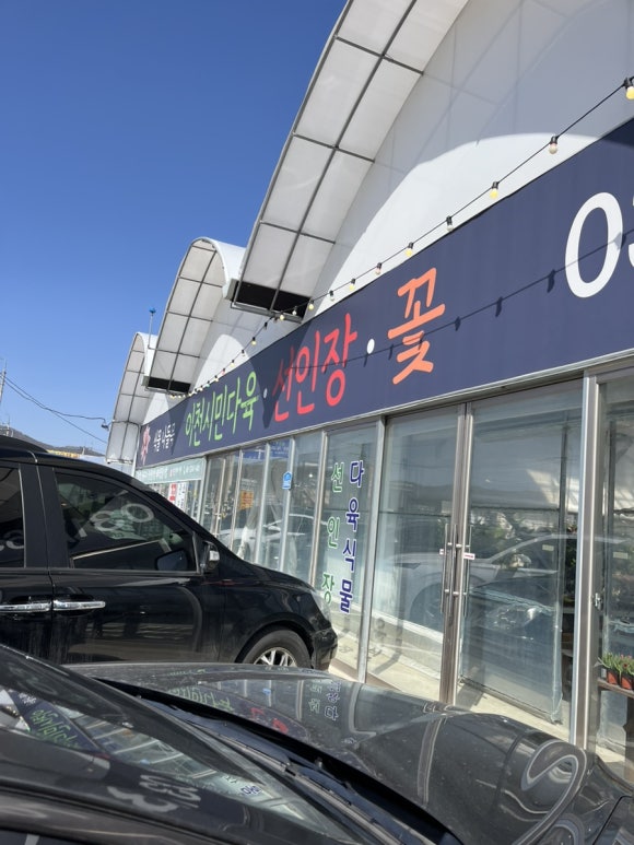 이천시민다육 이미지