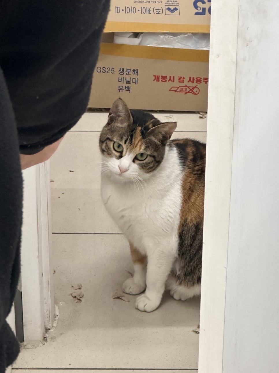 지에스25오산자이점 이미지