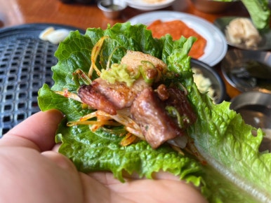 매일고기 이미지