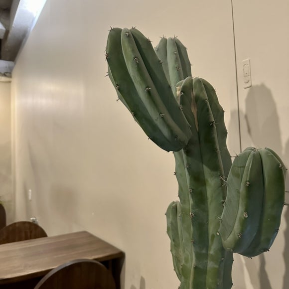 솔피아노스튜디오 이미지