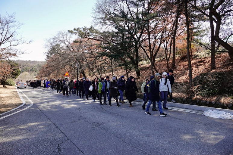 삼일투어 이미지