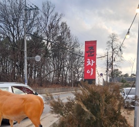 준차이 이미지