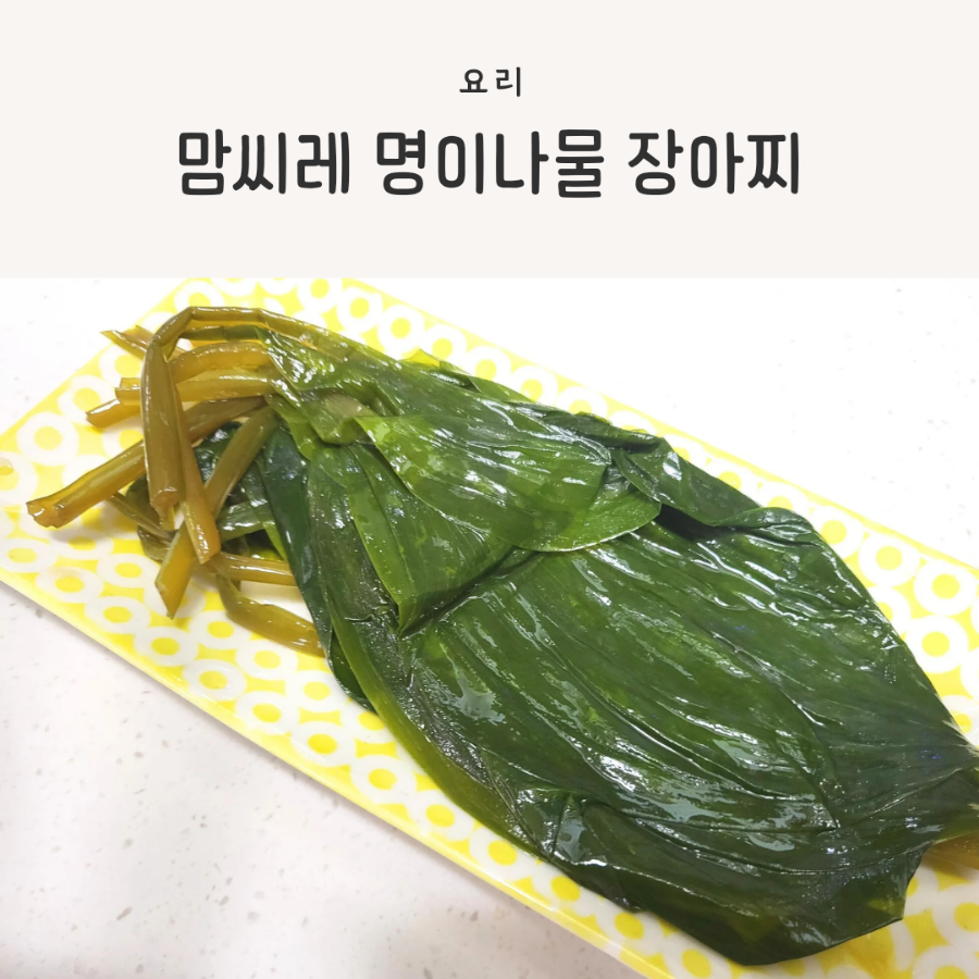 맘씨레 이미지