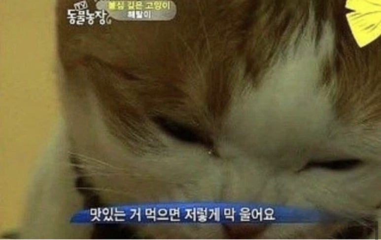비엣남 이미지