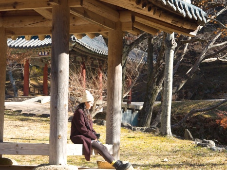 삼보서점 이미지