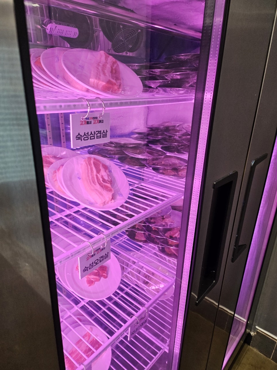 고기에서고기까지 이미지