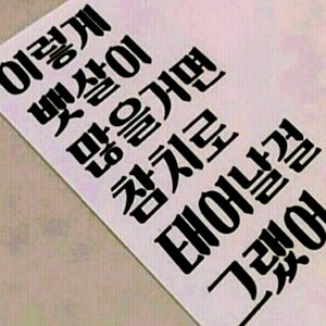 더오징어더참치 이미지