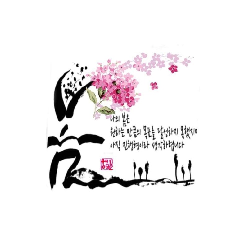 드럼포유 이미지