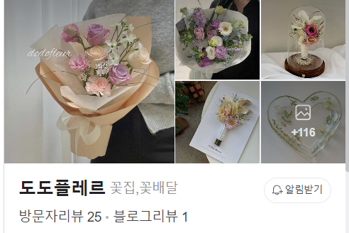 도도플레르 이미지