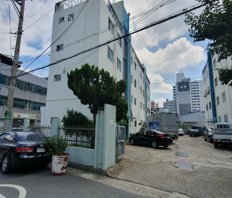 삼신차 이미지