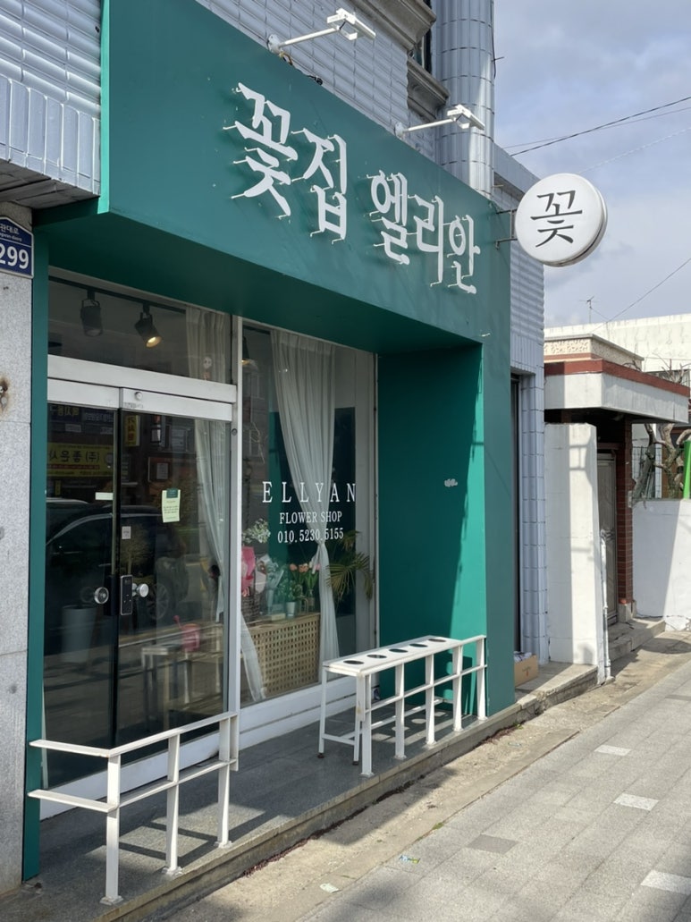 엘리안플라워 이미지