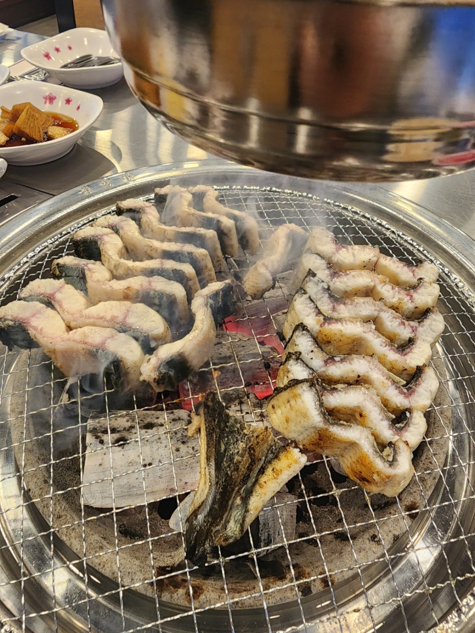 오라장어 이미지