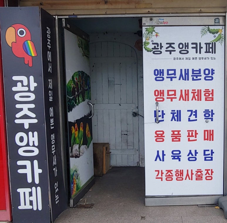 광주앵카페 이미지