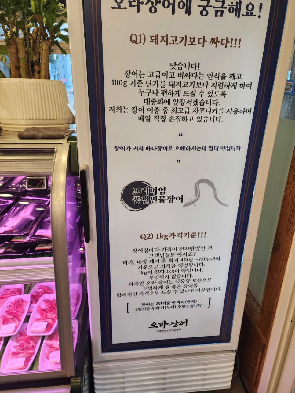 오라장어 이미지
