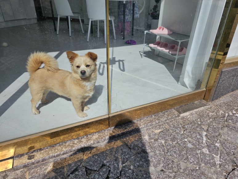 루미츄네일 이미지