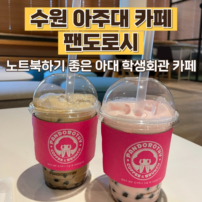 팬도로시 아주대학생회관점 이미지
