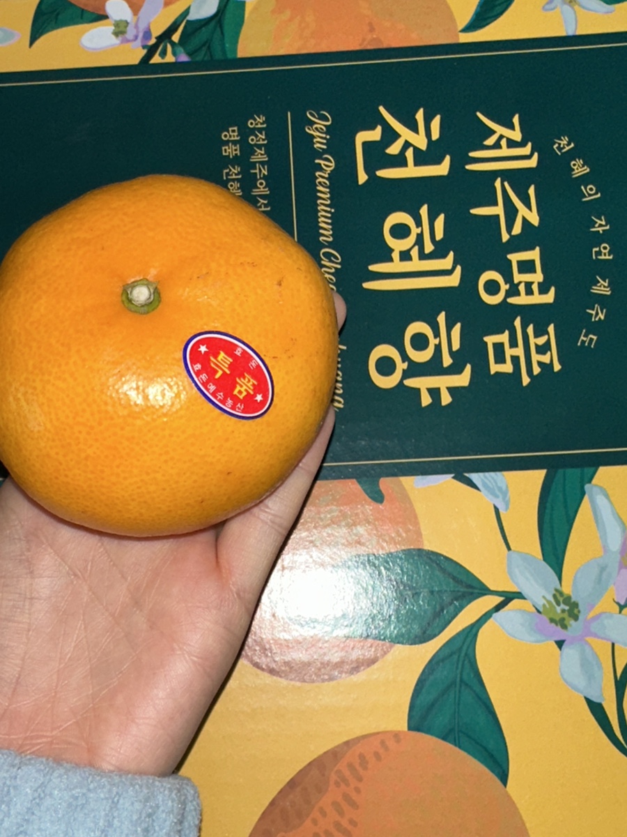 태정헬스 이미지