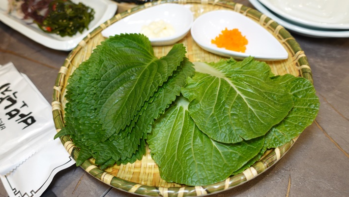 바보낙지 이미지