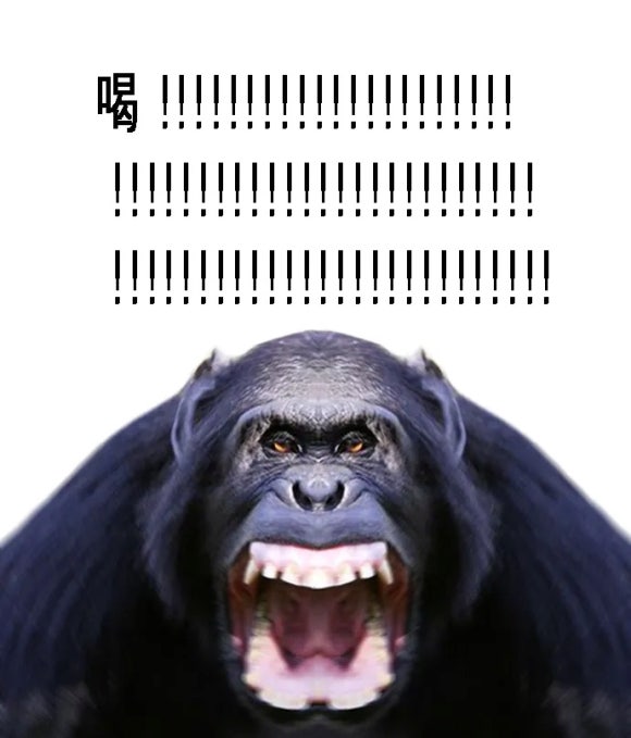 살롱드룬 이미지