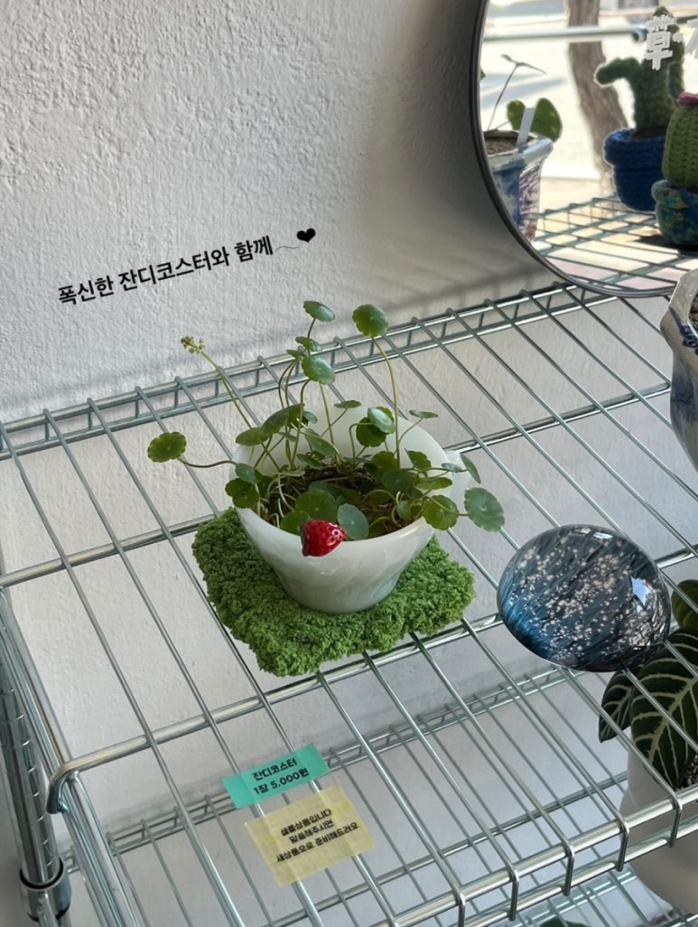 고타야의숲 이미지