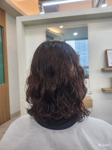 저지살롱 이미지