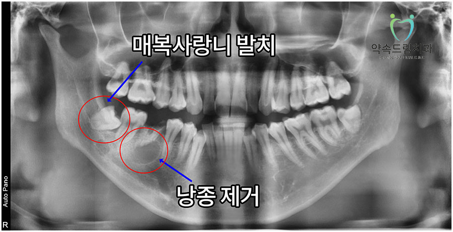 약속드림치과 이미지