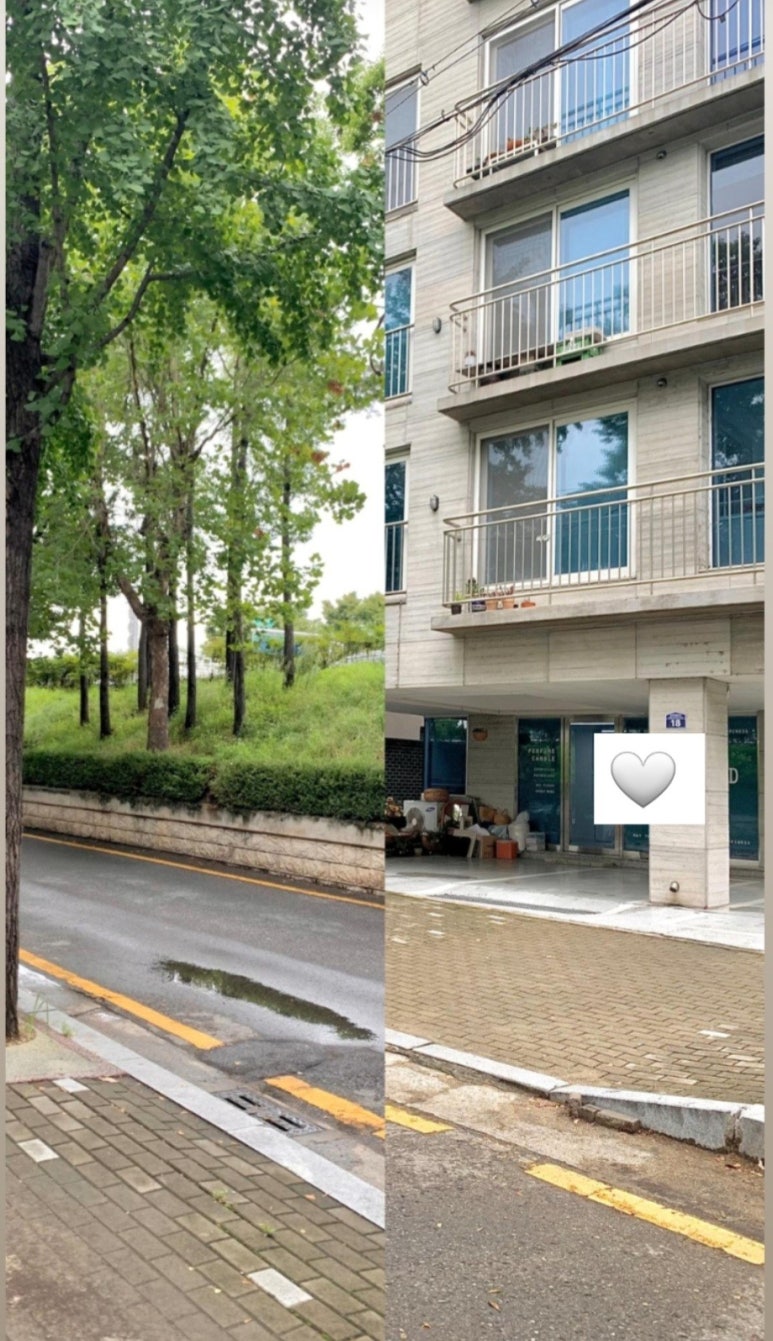 졸리쥬드 이미지