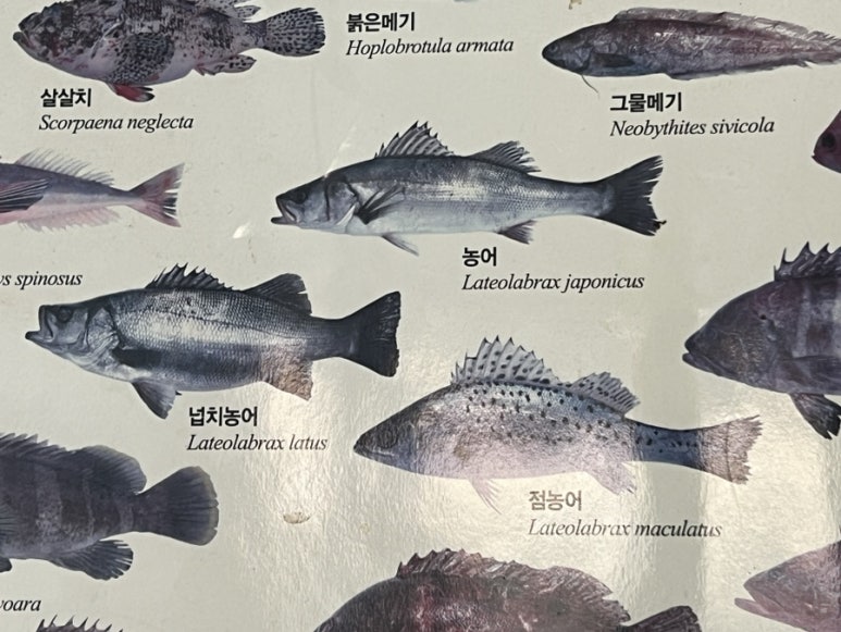 웅천수산 이미지