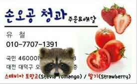 손오공청과 이미지