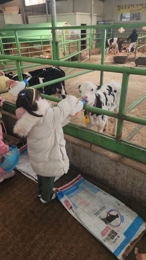 (주)연보람 우유 이미지