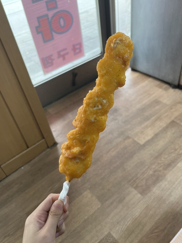 꼬치리아 이미지