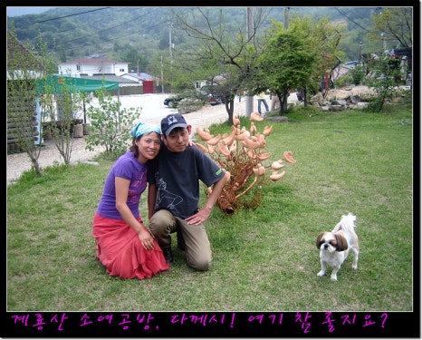계룡산도예촌갤러리상신 이미지