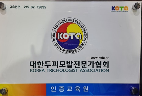 드메이 이미지