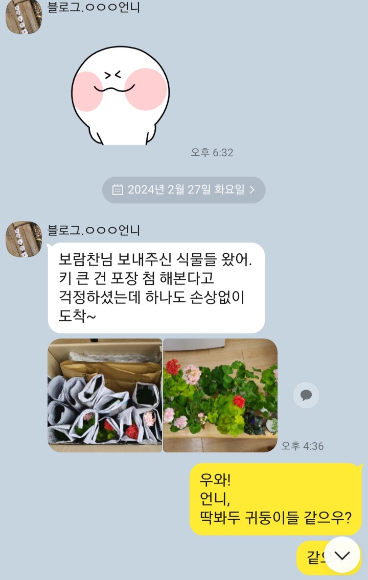 꽃쑤니 이미지