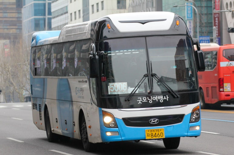 뉴럭셔리여행사 이미지