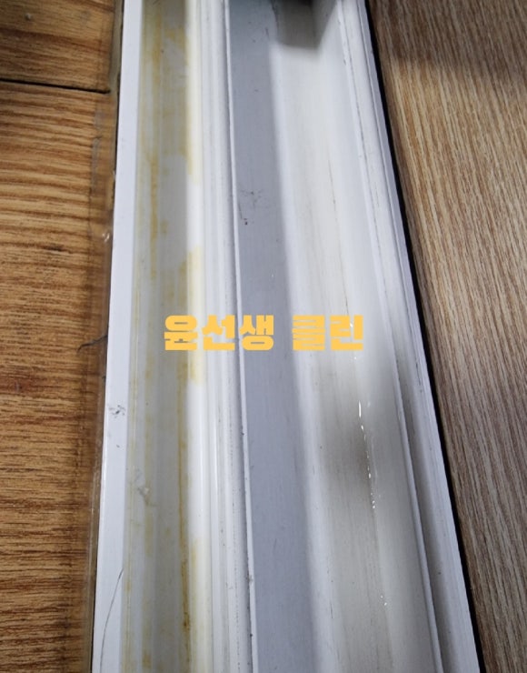 윤선생클린 이미지