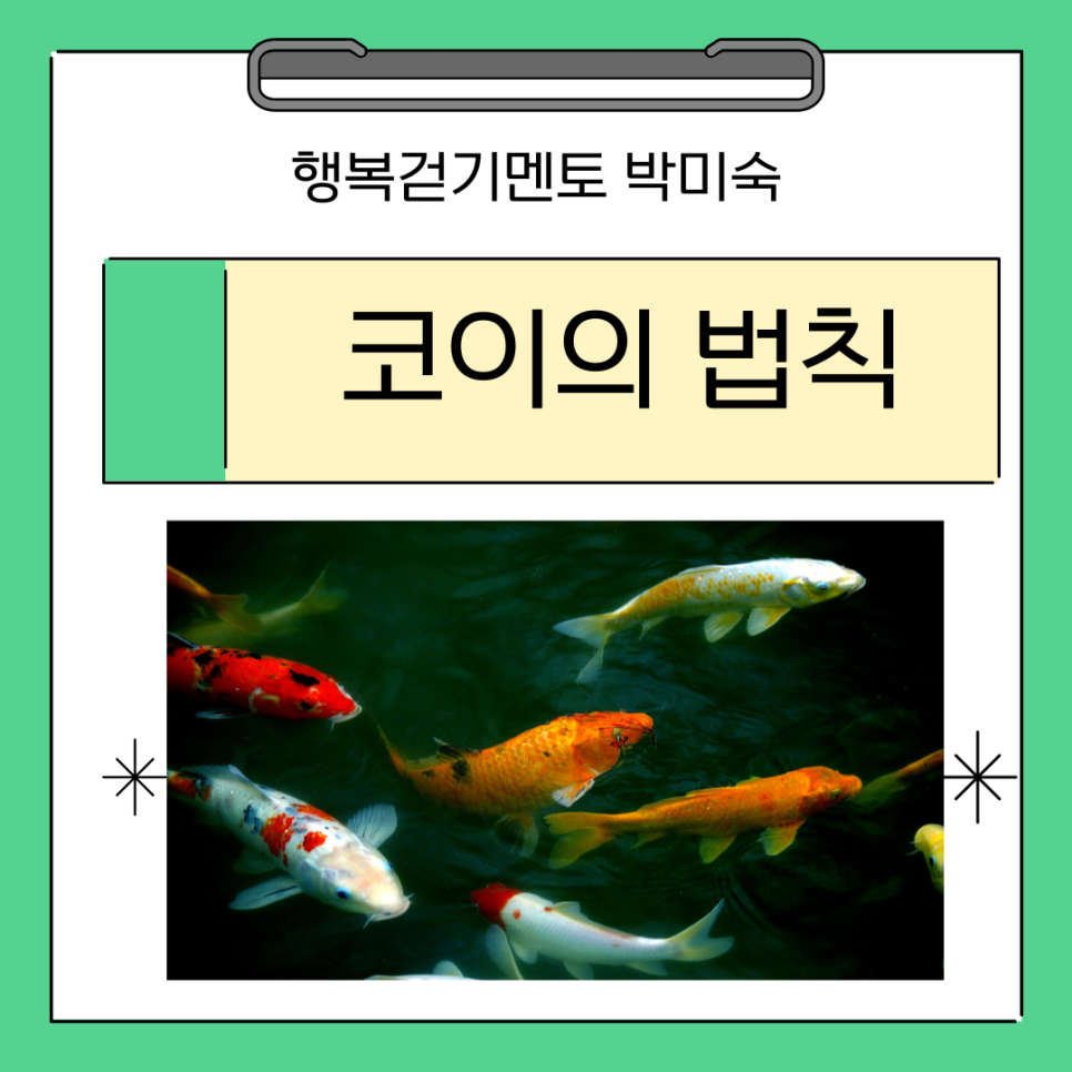 (주)코이 이미지