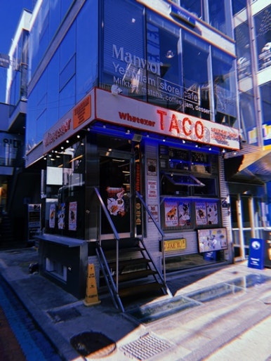 겸타코 이미지