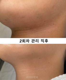 라미아루체 이미지