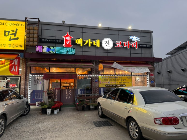 코다리와친구들 이미지