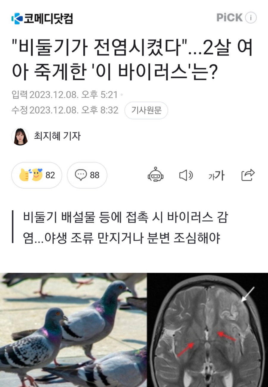피시쿠스 이미지